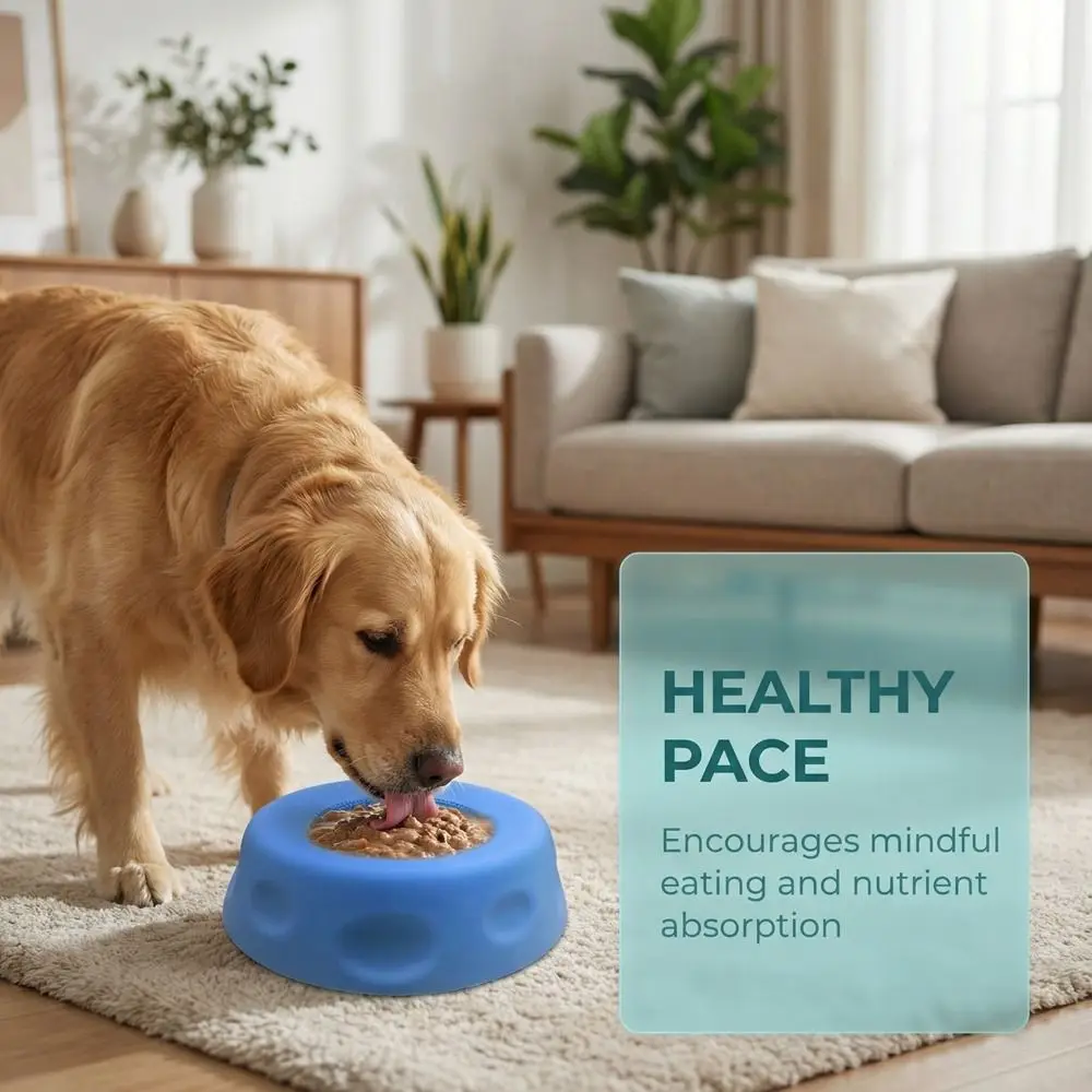 Cuenco de silicona antideslizante para perros con bola anti-ahogo - imagen 3