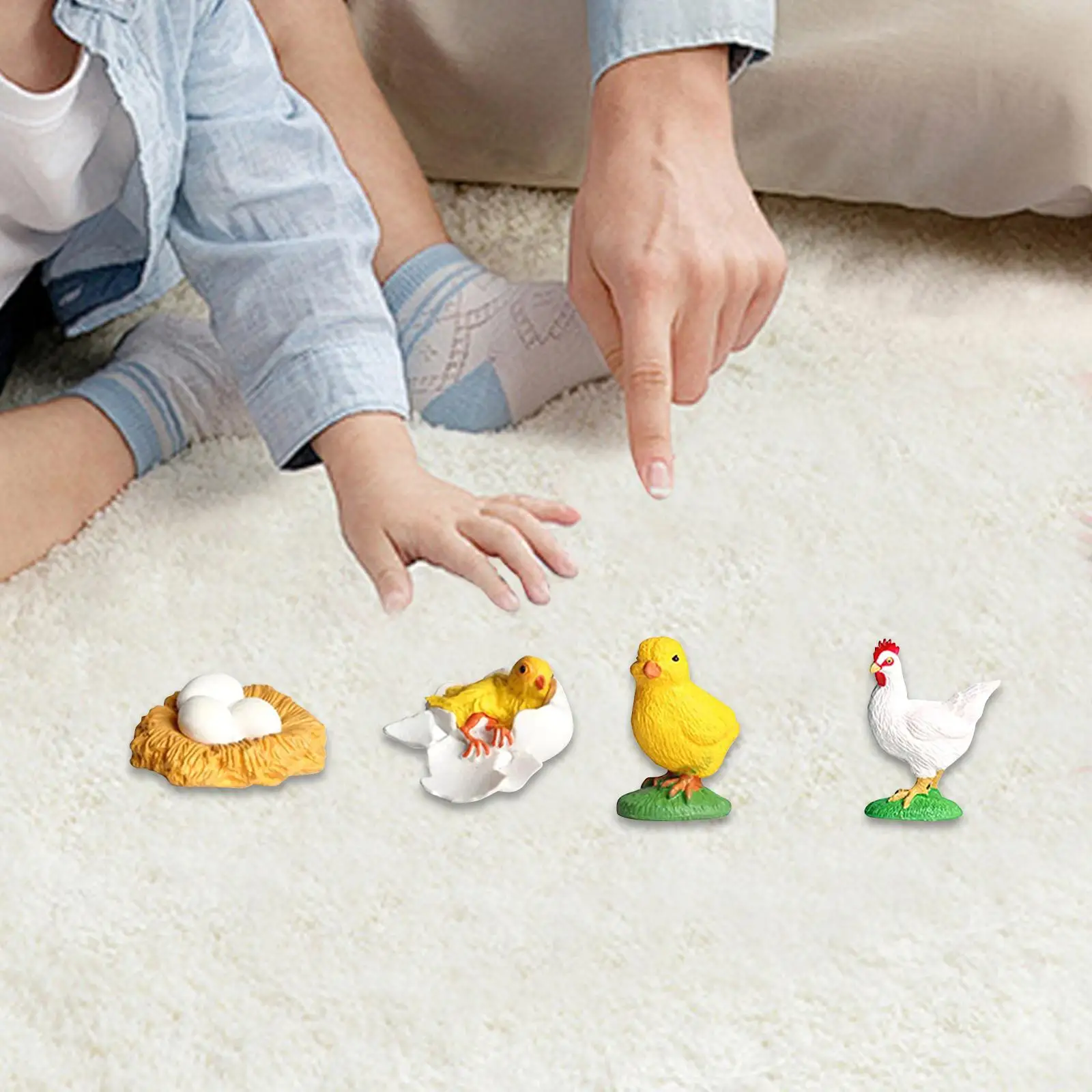 Figura educativa realista del ciclo de vida pollo para niños - imagen 2