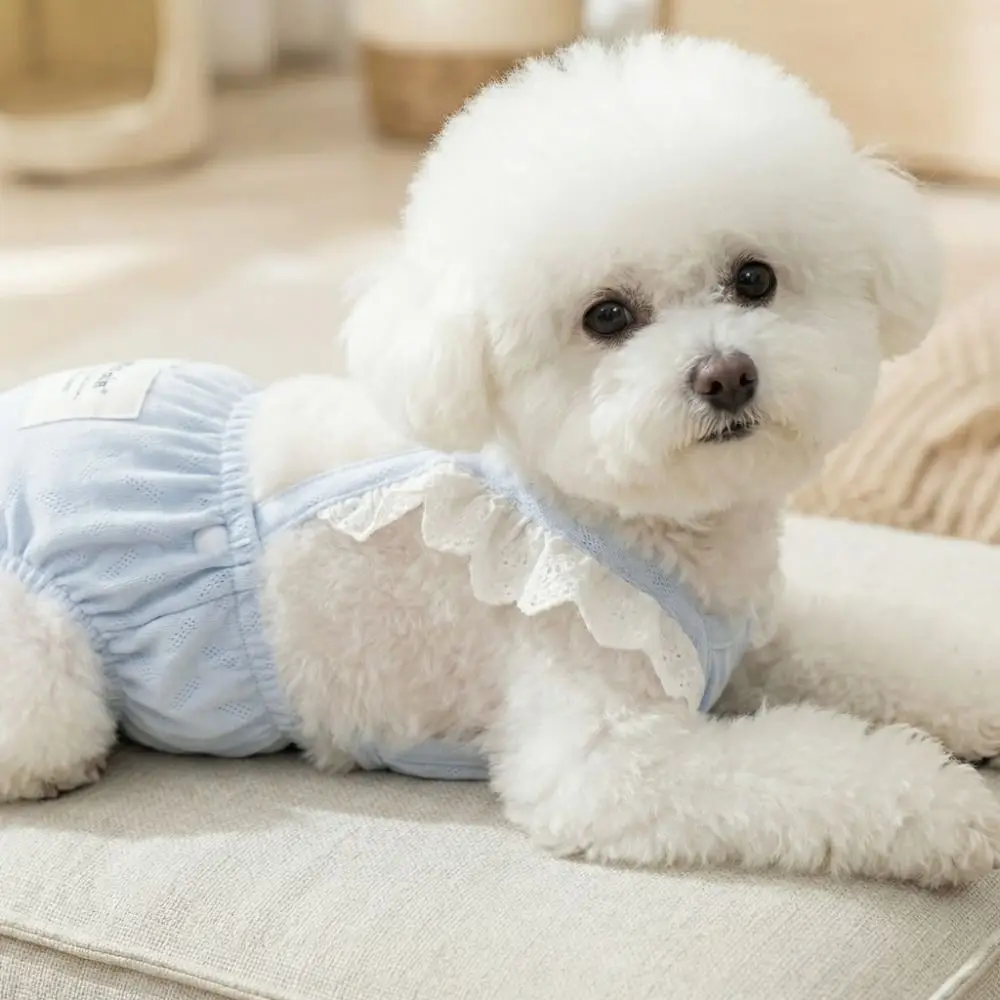 Pañal fisiológico lavable para perros con tirantes ajustables - imagen 5
