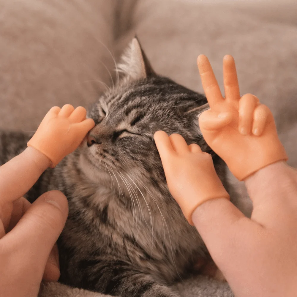 Juguete para gatos: marionetas de dedo resistentes a mordeduras - imagen 5