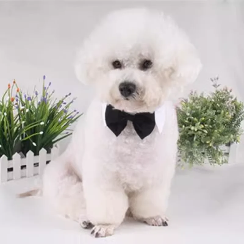 Corbata negra para mascotas ajustable con velcro - imagen 3