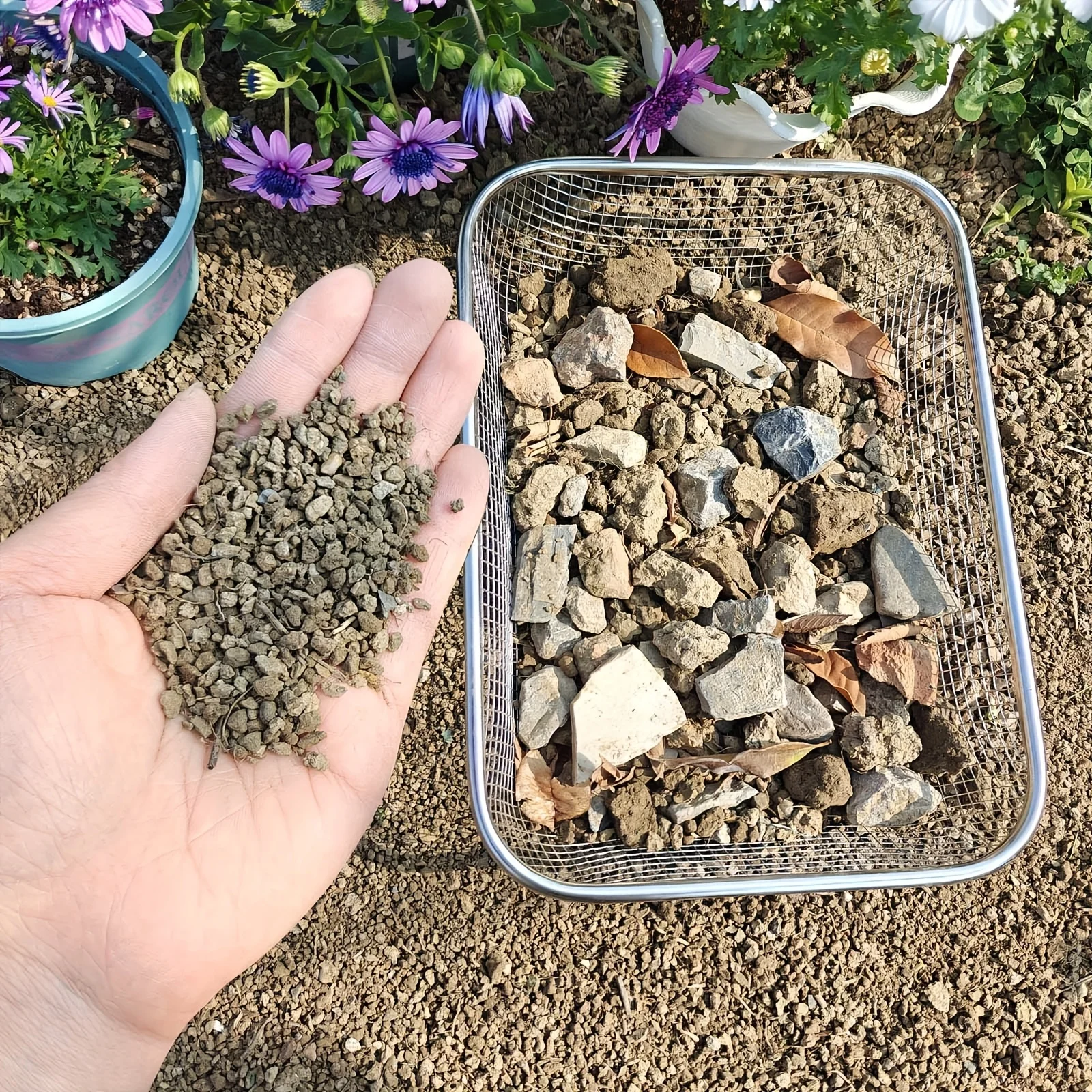 Tamiz de acero inoxidable para filtrar rocas, compost y arena - imagen 5