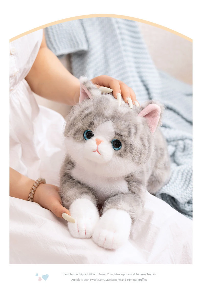 Gatito acostado estilo almohada