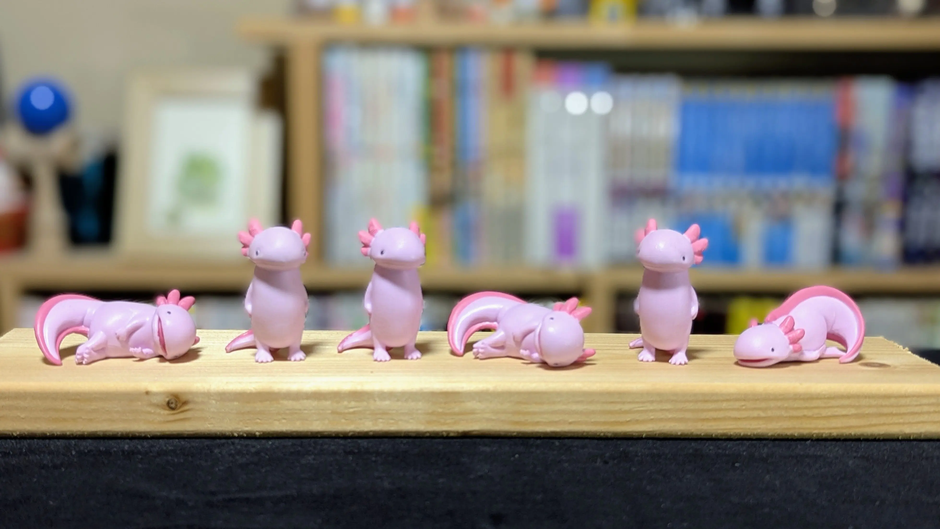 Poses del axolotl cápsula grita
