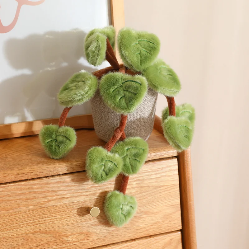 Pothos de peluche en maceta, detalle