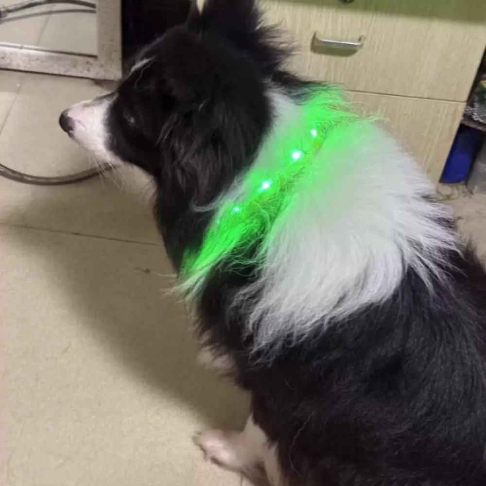 Collar LED luminoso para perro ajustable multicolor con fibra óptica - imagen 5