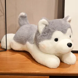 Peluche Husky tumbado de felpa suave, juguete de animal