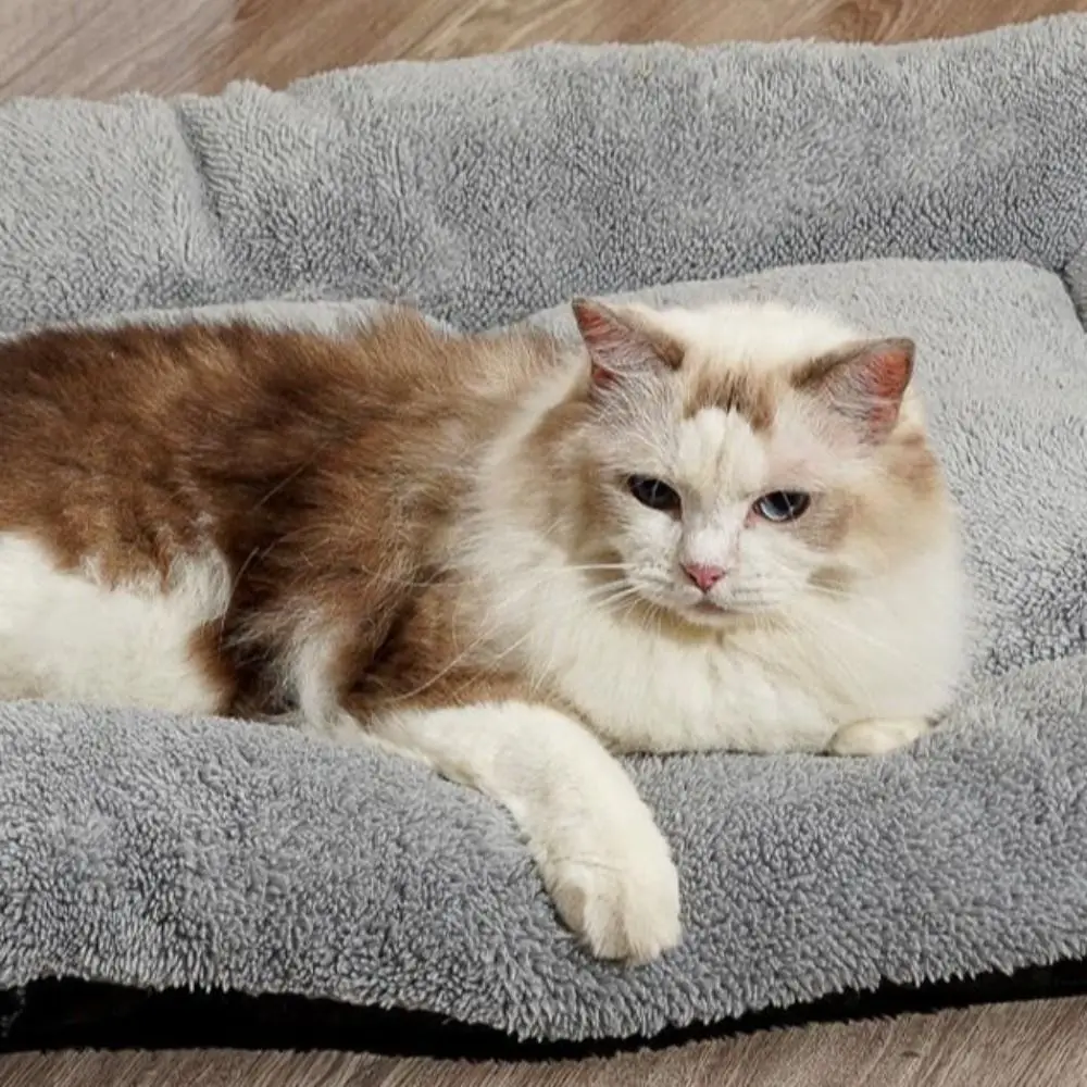 Cama cálida antideslizante de felpa suave para mascotas - imagen 3