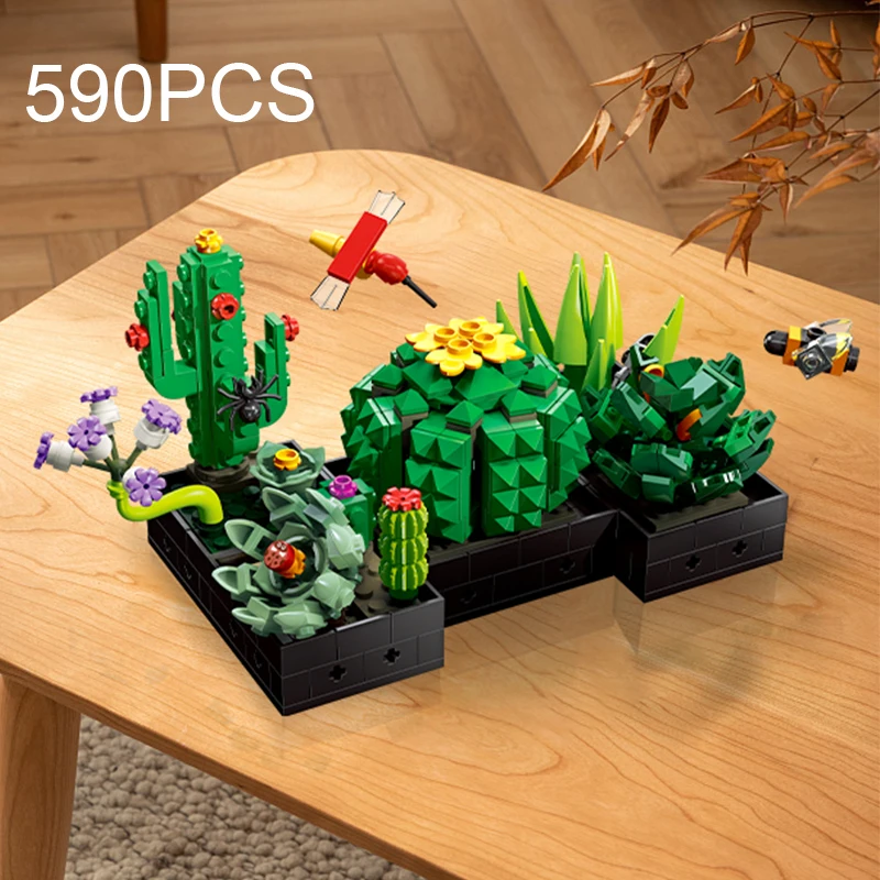 Set plantas suculentas decorativas para habitación – estilo natural