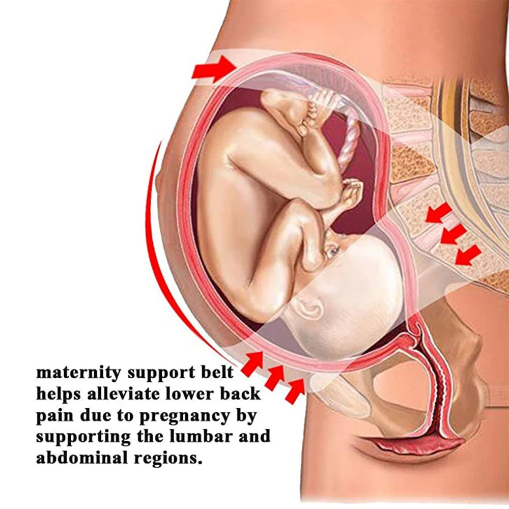 Soporte lumbar DDAXMM