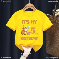 Camiseta infantil capibara – Diseño birthday