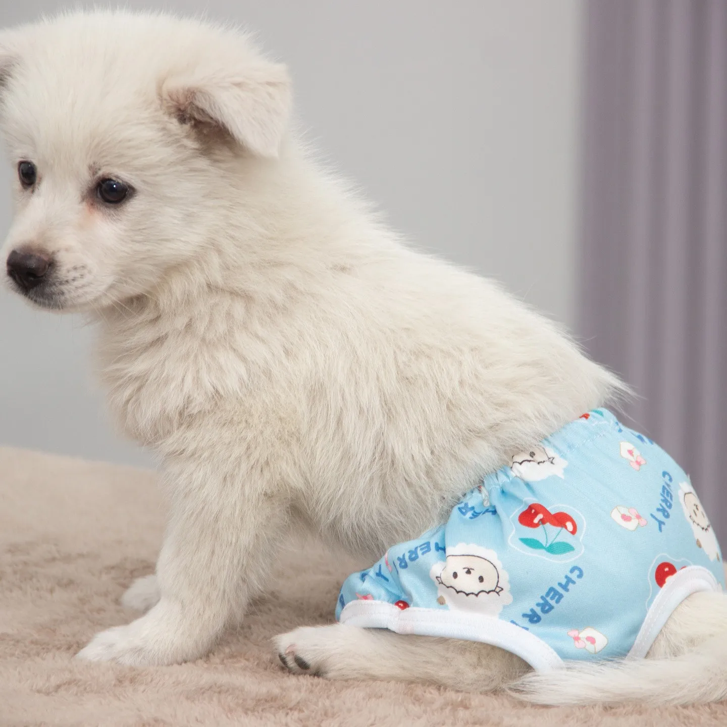 Pañales para perros en celo con estampado divertido y cómodo - imagen 3