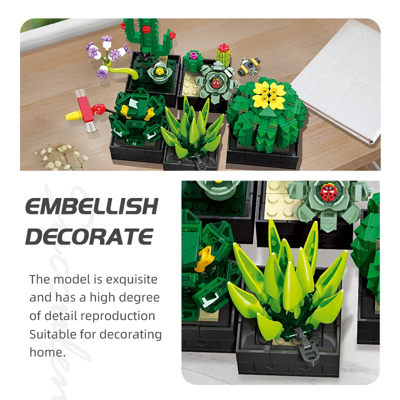 Set plantas suculentas decorativas para habitación – estilo natural - imagen 4