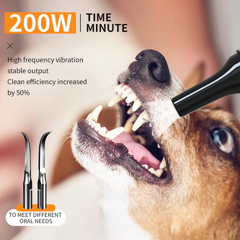 Cepillo de dientes eléctrico ultrasónico para perros: elimina placa - imagen 3