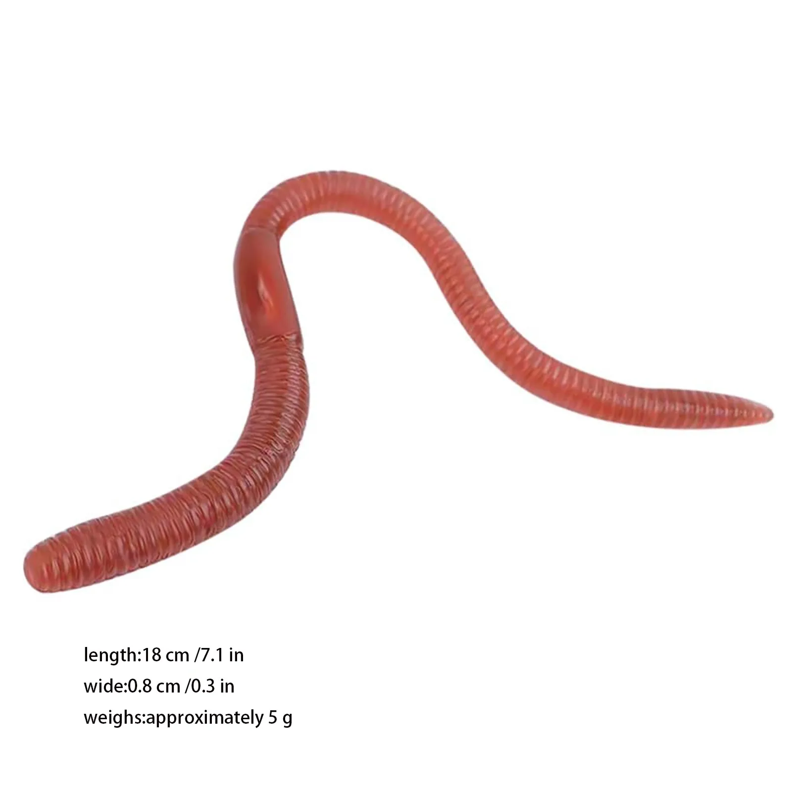 Lombriz extendida para prueba de elasticidad