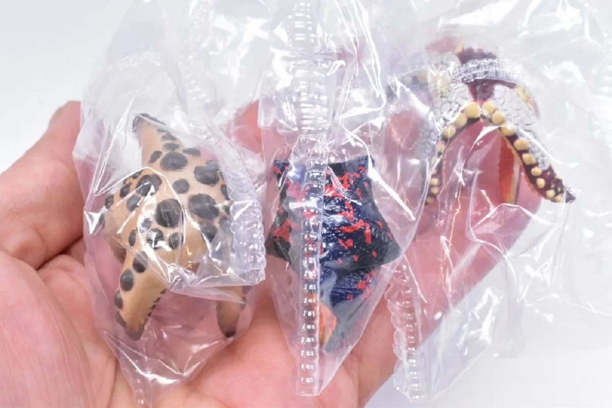 Gashapon Estrella de Mar Kikiki Karami – Figura infantil - imagen 5
