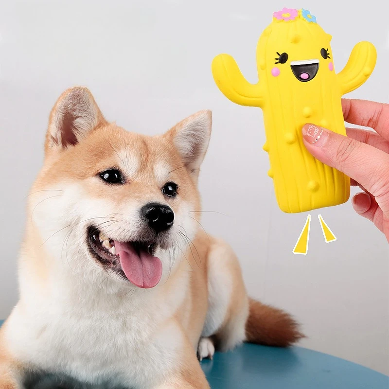 Juguete masticable de cactus para higiene dental de perros - imagen 2