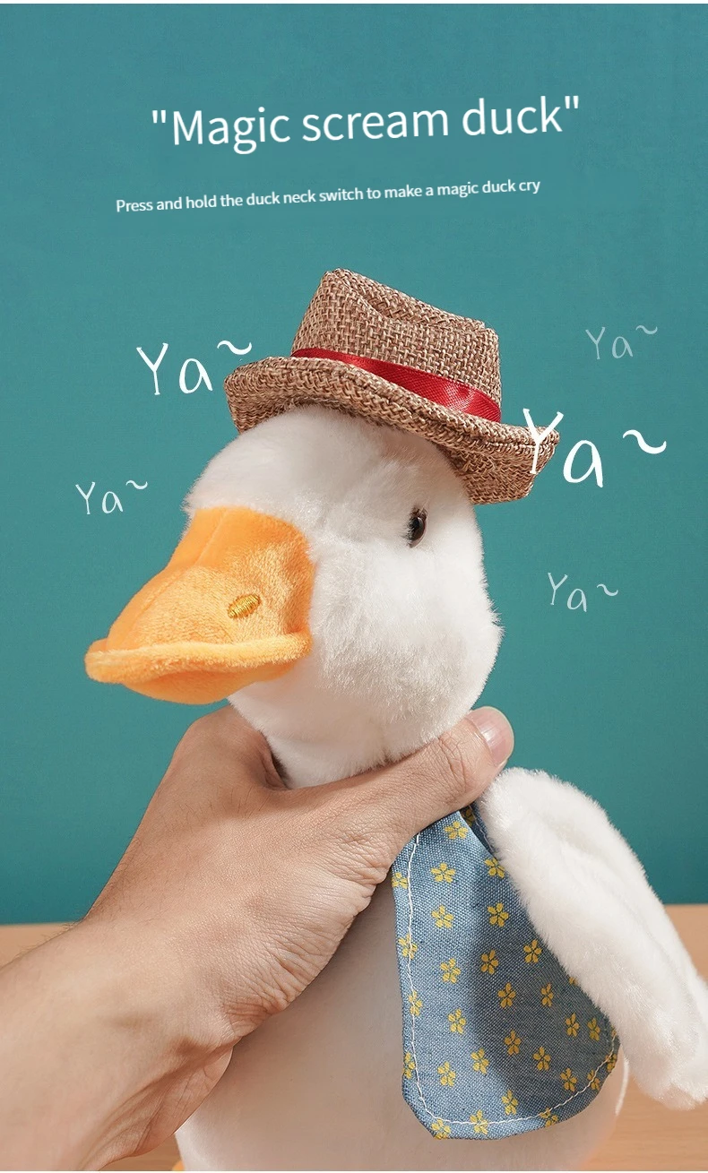 Regalo divertido y educativo