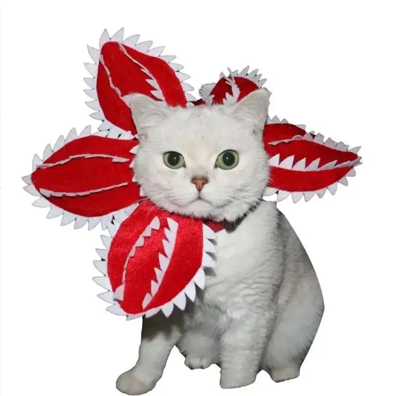 Sombrero piraña ajustable para perro y gato - imagen 3