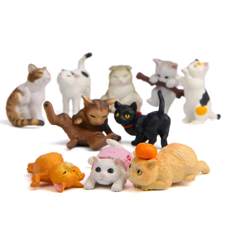Gato blanco con la pata levantada