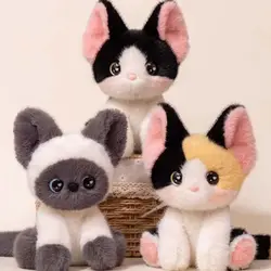 Peluche de gato siamés Devon Rex sentado como adorno de escritorio