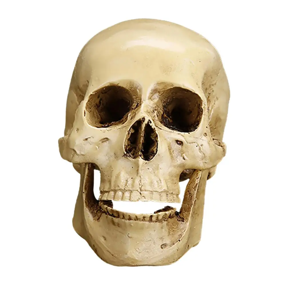 Estatua calavera gótica de resina tallada a mano para hogar - imagen 5