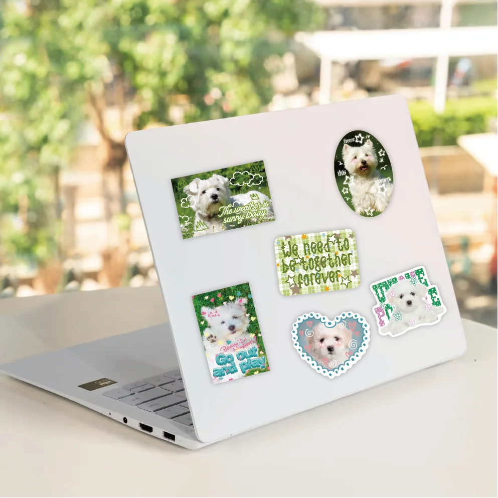 Pack variado de calcomanías kawaii