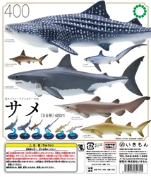 IKIMON Figura Tiburón Ballena para Niños