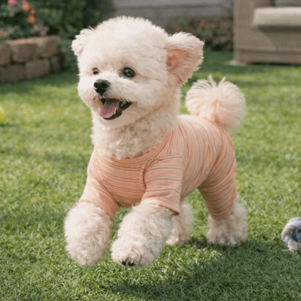 Pijama de rayas suave para perros y gatos, cómodo y cálido - imagen 5