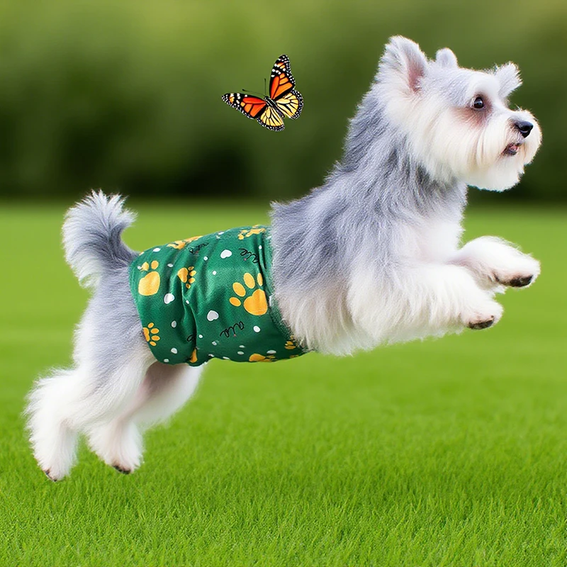 Pañal reutilizable para perro con estampado