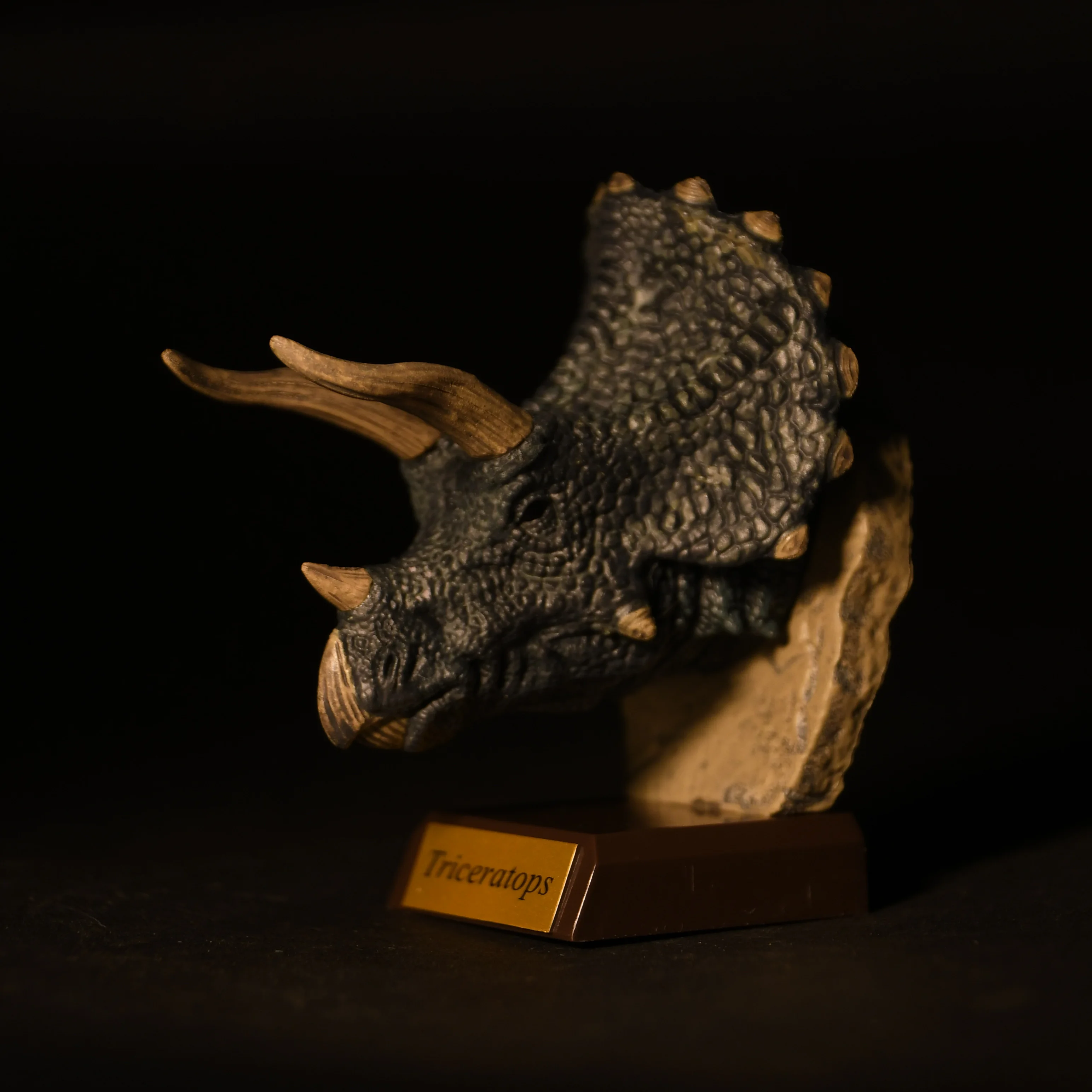 Qualia figuras de dinosaurios Triceratops y tiranosaurio realistas - imagen 4