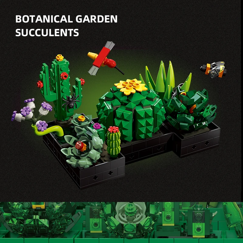 Set plantas suculentas decorativas para habitación – estilo natural - imagen 5