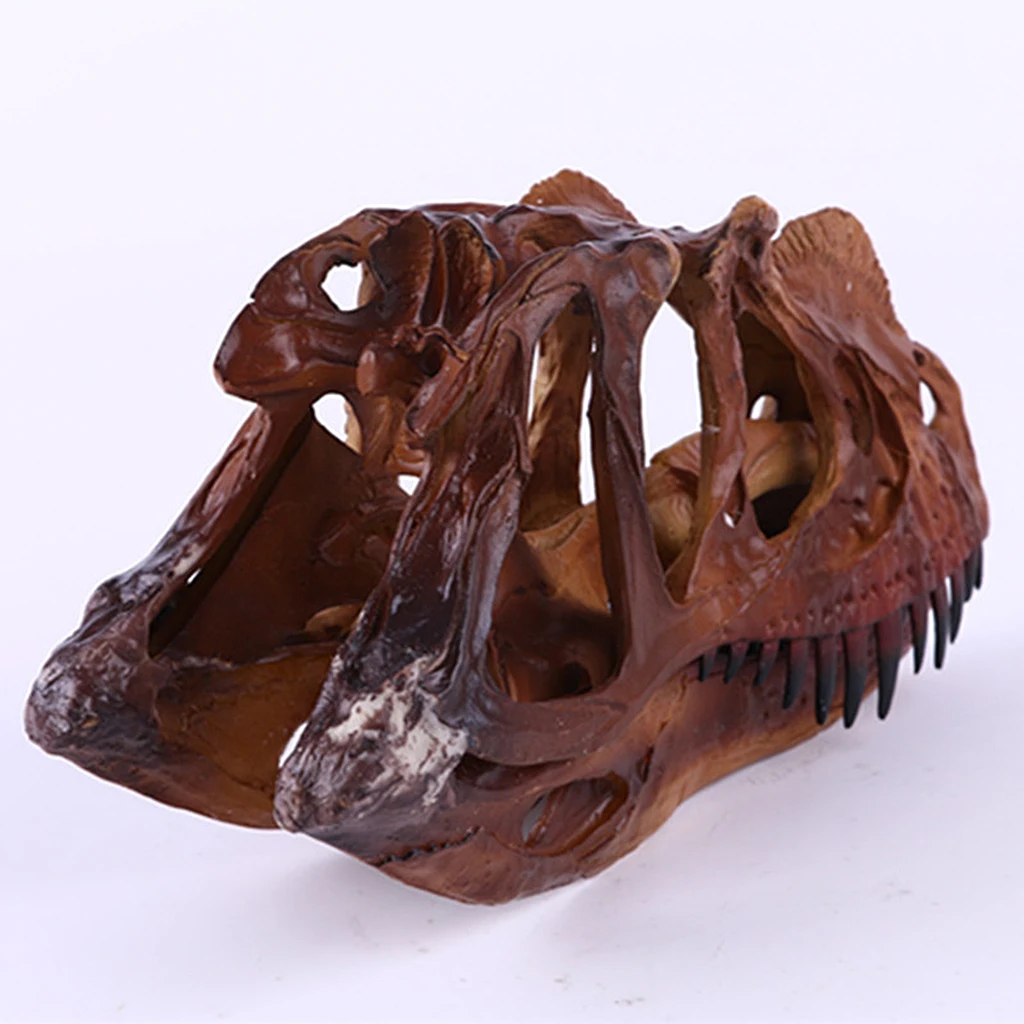 Calavera de dinosaurio en resina para decoración coleccionable - imagen 5