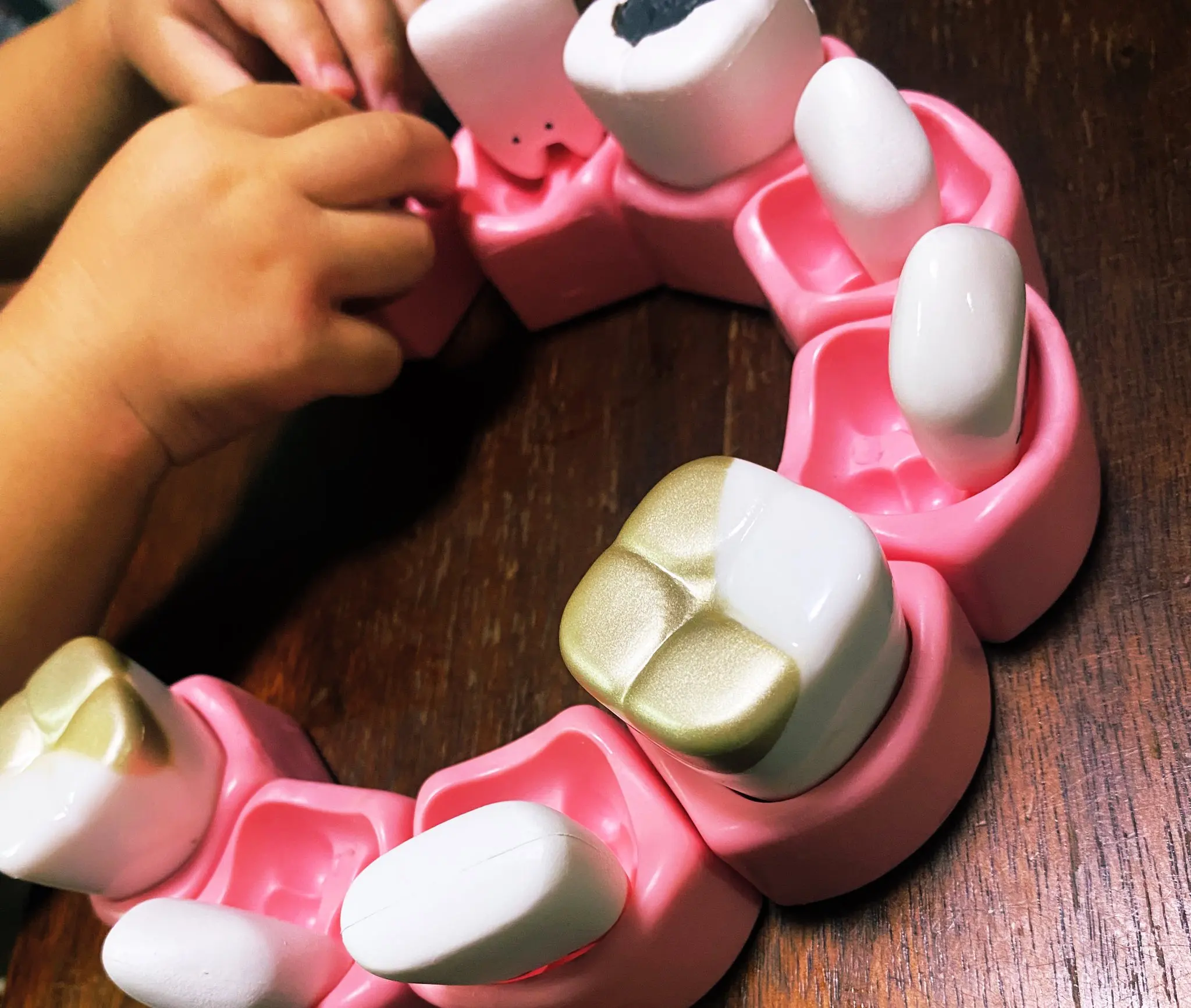 Figura de dientes dorada para niños – Regalo educativo dental - imagen 4