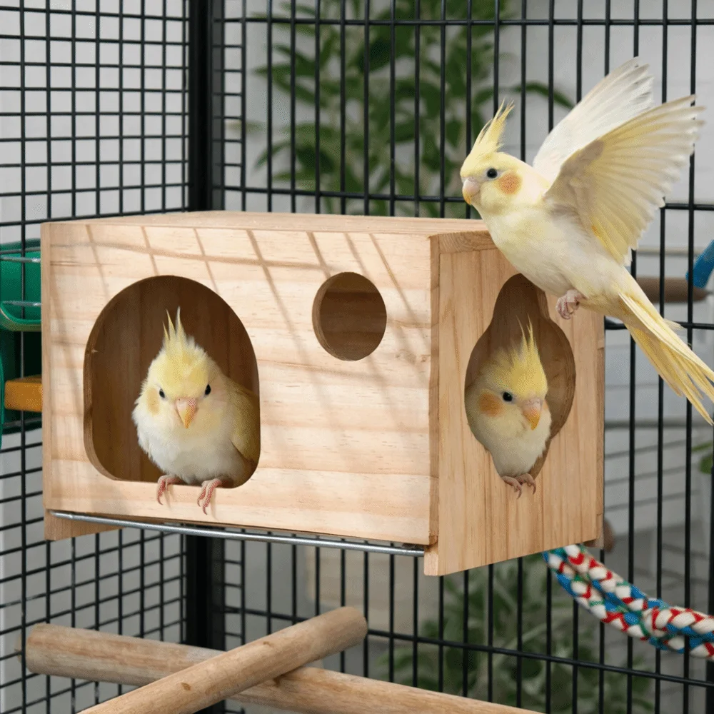 Caja de cría para loros en madera transpirable con fondo red y hamaca - imagen 4