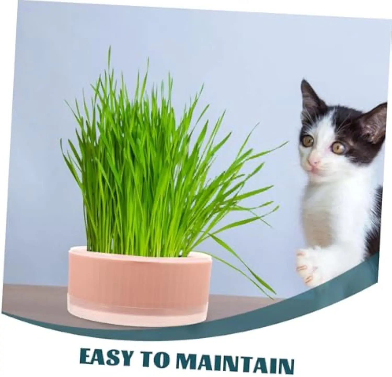 Maceta de plástico para gatos sin semillas, práctica de jardinería - imagen 5