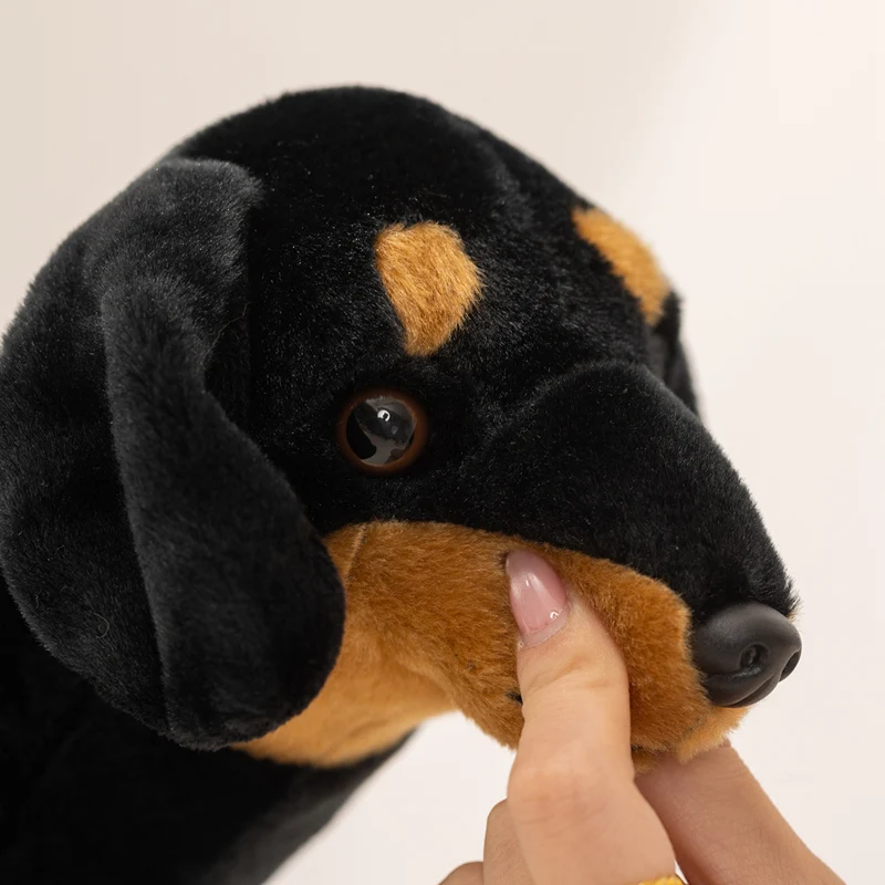 Peluche perro salchicha suave tipo dachshund para hogar y niños - imagen 4