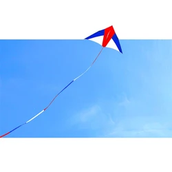 QX2D cometa para niños con cola de acrobacias playa
