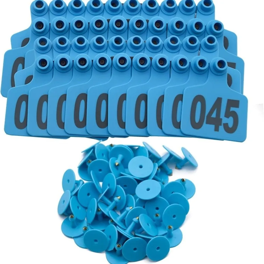 Tarjeta identificativa para bebé resistente, evita pérdidas en guardería - imagen 4