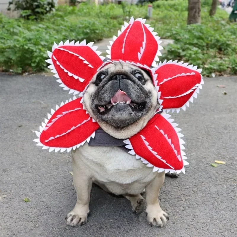 Sombrero piraña ajustable para perro y gato - imagen 2
