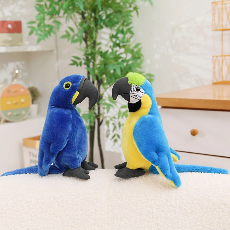 Colección de aves: loro, ara y cacatúa