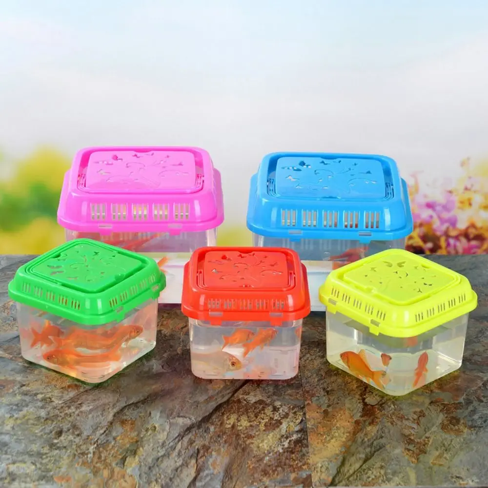 Pecera portátil para mascotas: mini terrario de plástico - imagen 4