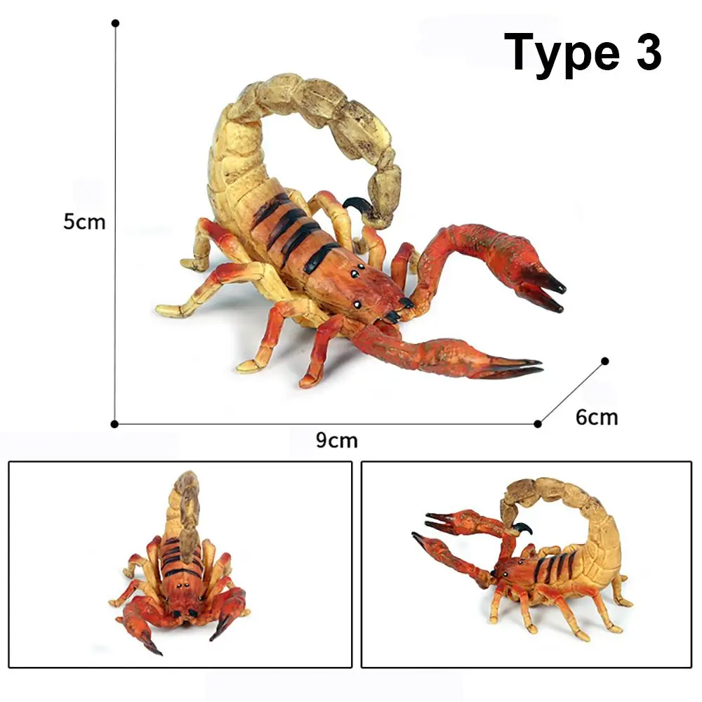 Juguete educativo de ciencia y naturaleza con escorpión para niños - imagen 4