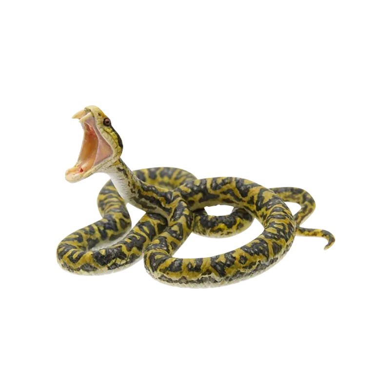 Figuras cápsula Ikimon: criaturas coleccionables de naturaleza japonesa - imagen 2