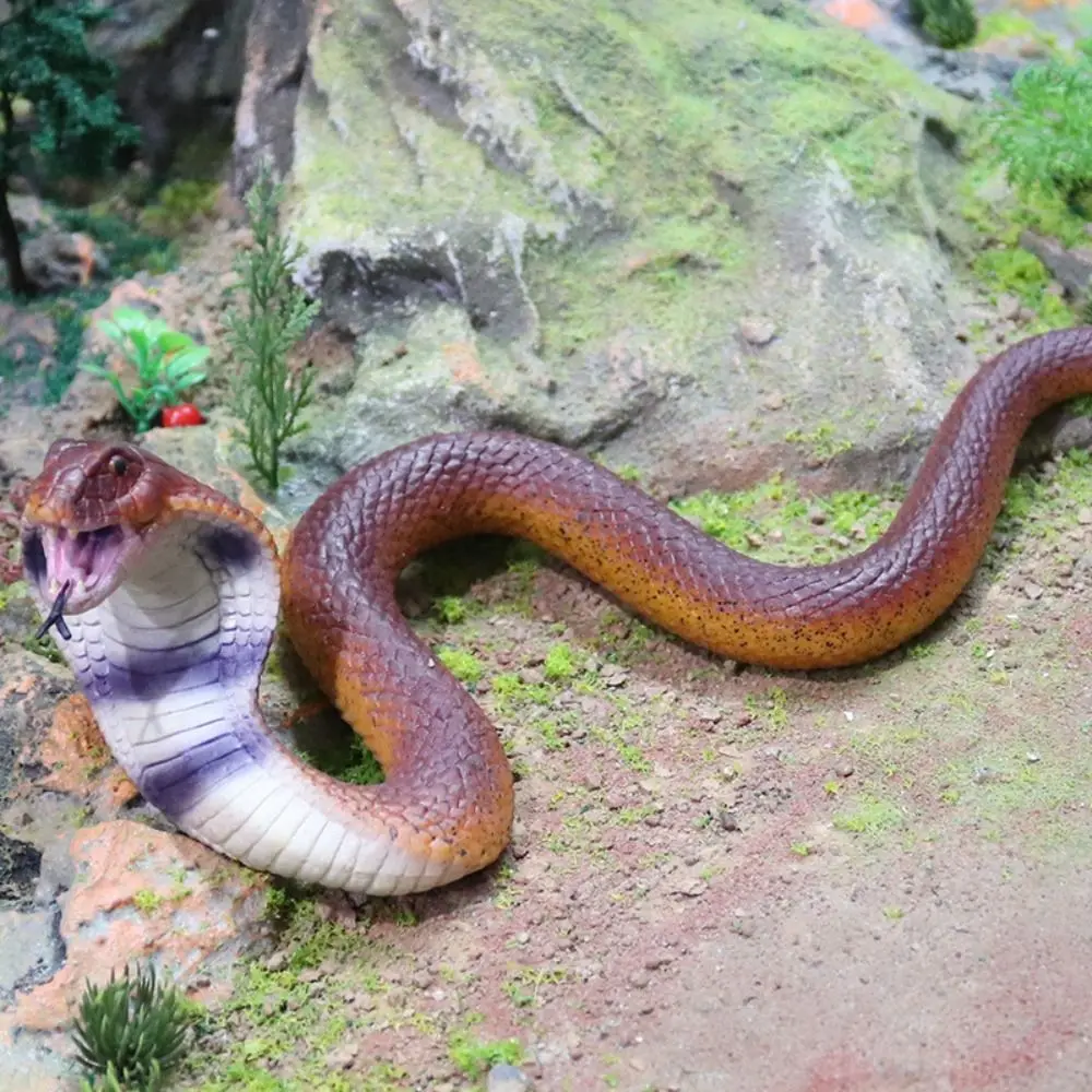 Figura de acción educativa serpientes reptil realista para Halloween - imagen 4