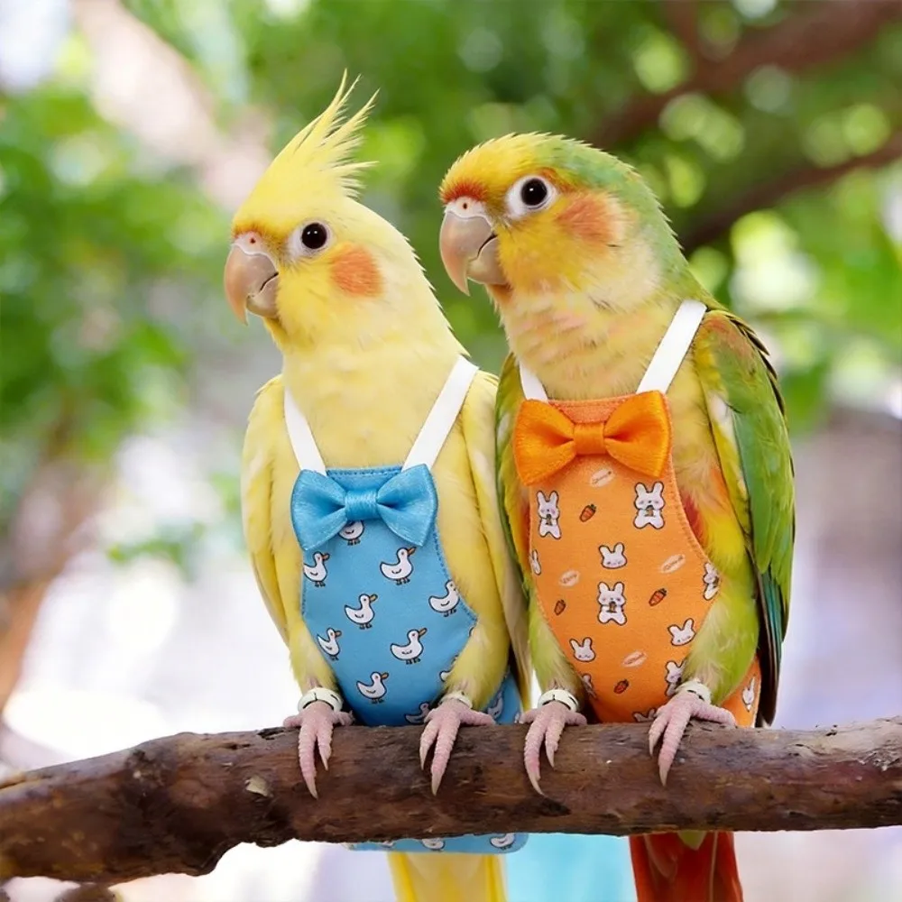 Pañales lavables ajustables para mascotas transpirables con dibujo - imagen 4