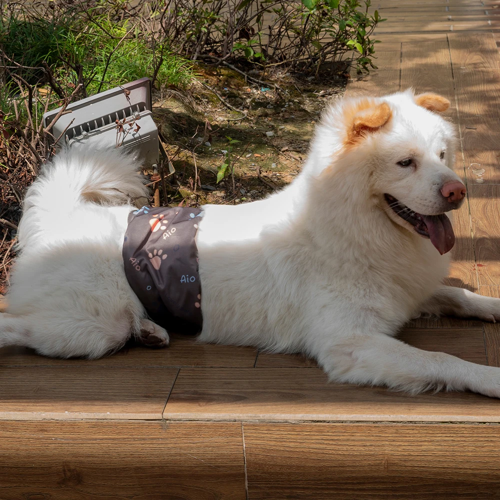 Faja abdominal de tela para perro