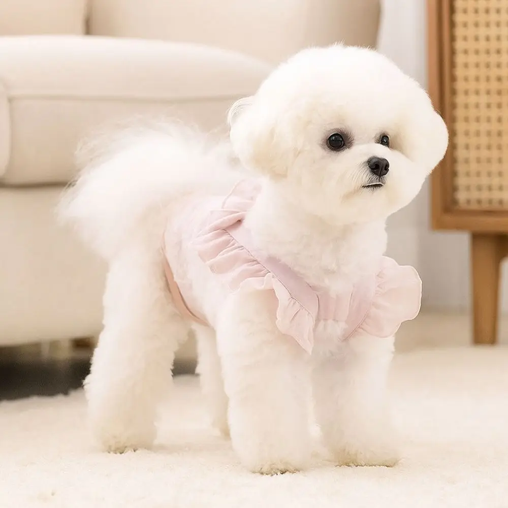 Mono ajustable de color sólido para mascotas