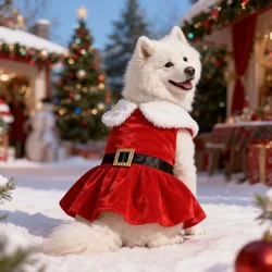 Vestido navideño de terciopelo dorado para perro con lazo verde