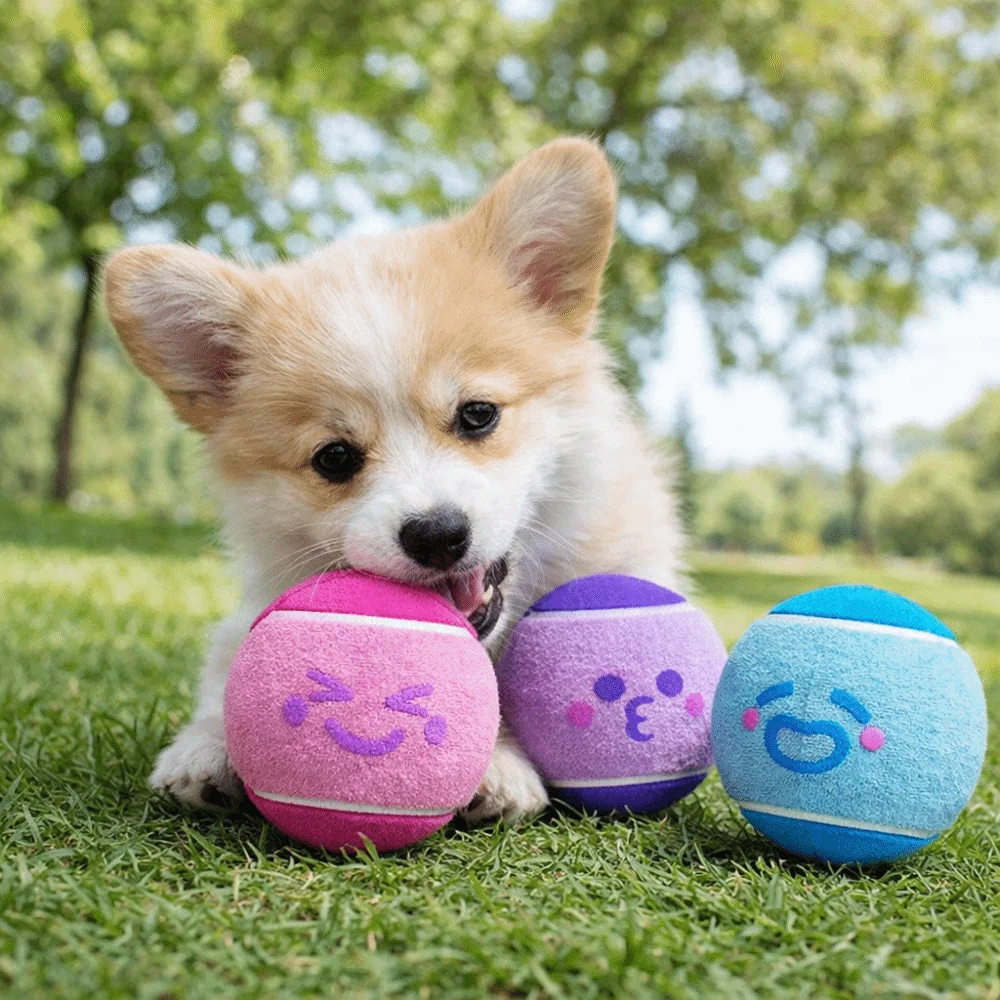 Pelotas elásticas de tenis para mascotas con sonido chirriante - imagen 2